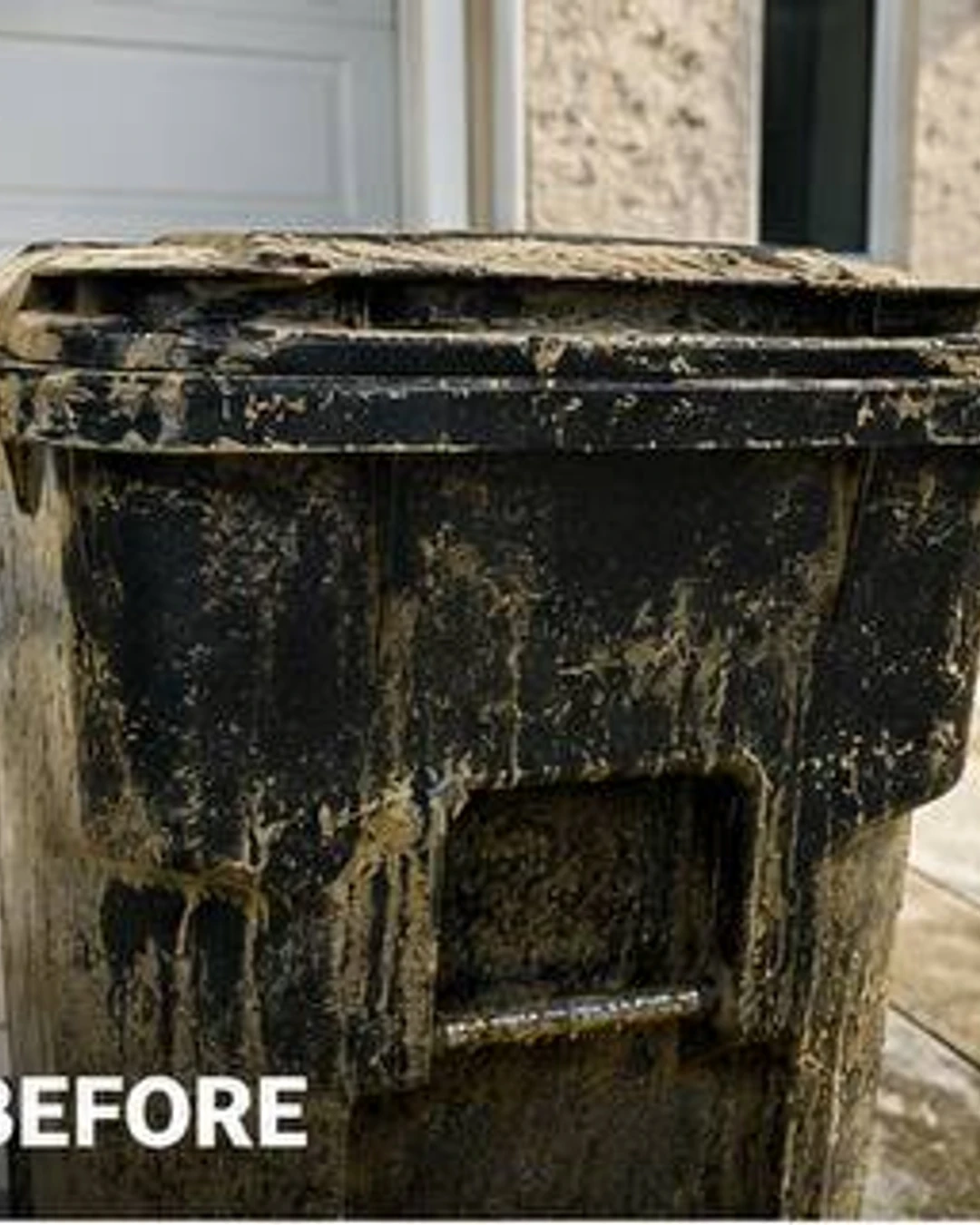 Trash Spa gallery photo 2