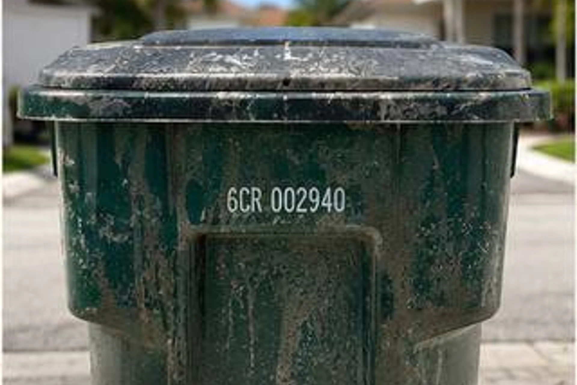 Trash Spa gallery photo 3
